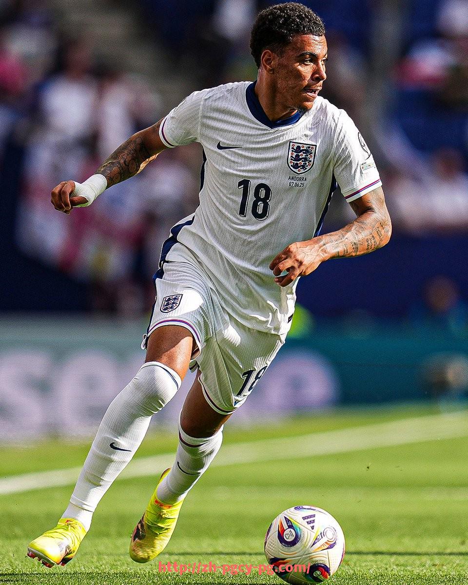 pg电子在线官网-足球CBA双栖最佳球员评选结果与争议点评