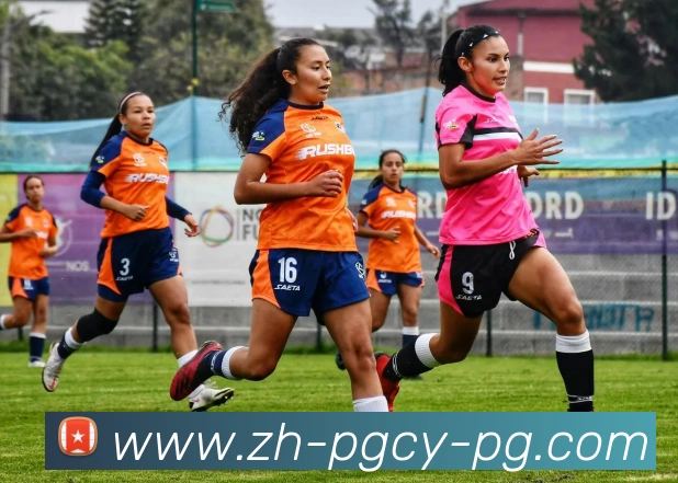 App Interface Preview