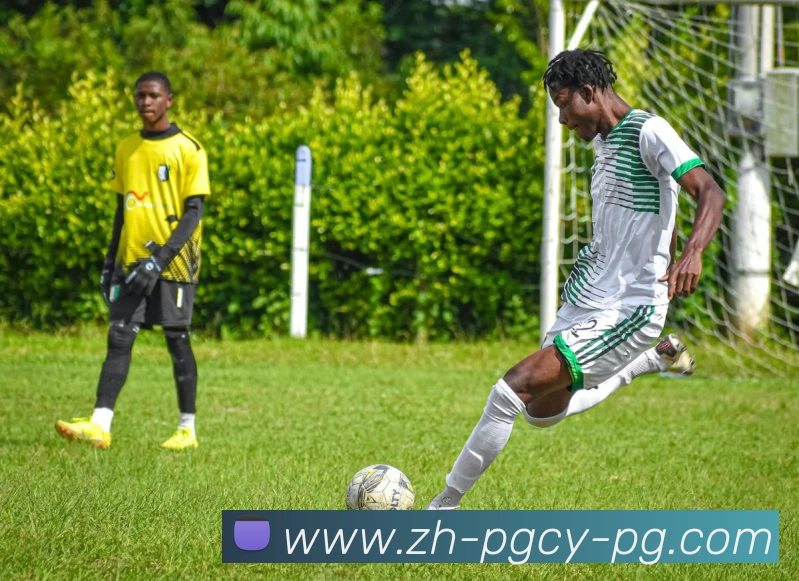 PG模拟器APP 封面图